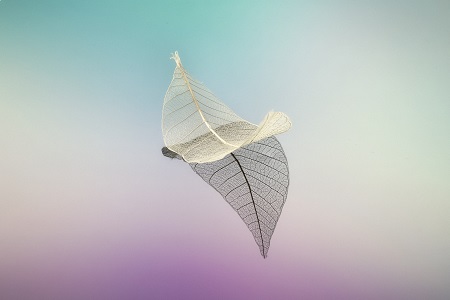 西南交通大學(xué)非全日制研究生無工作經(jīng)驗(yàn)可以報(bào)考嗎? 西南交通大學(xué)非全日制研究生無工作經(jīng)驗(yàn)可以報(bào)考嗎?