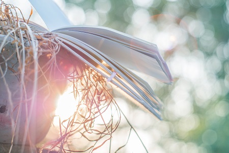 上海大學非全日制研究生怎么上課? 上海大學非全日制研究生怎么上課?