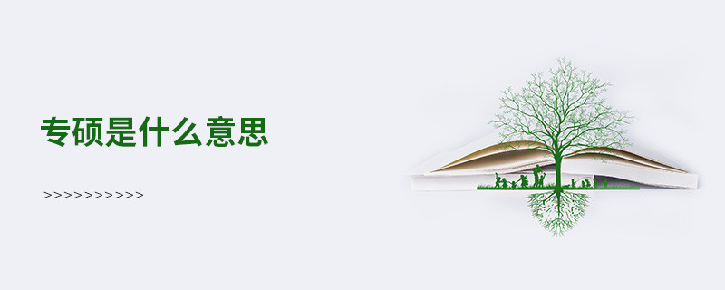 專碩是什么意思