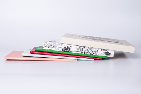 湖南大學MEM專業復試時需要進行哪些審核？