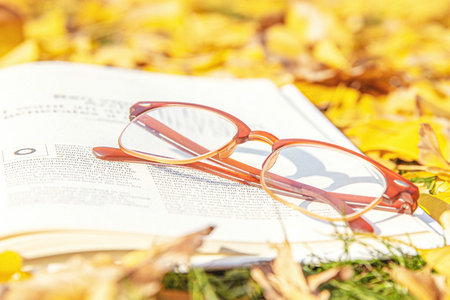 西南科技大學(xué)金融專碩考試難度 西南科技大學(xué)金融專碩考試難度