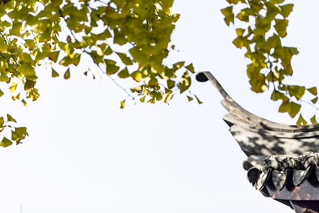 西南交通大學同等學力申碩有沒有網絡班？