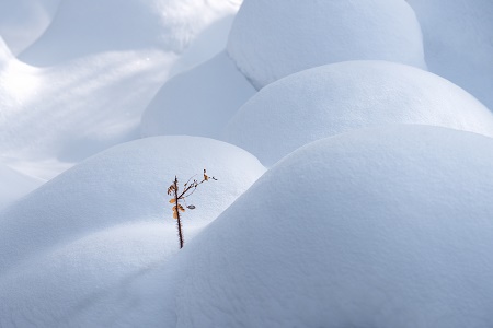  上海對外經(jīng)貿(mào)大學(xué)MBA調(diào)劑注意事項