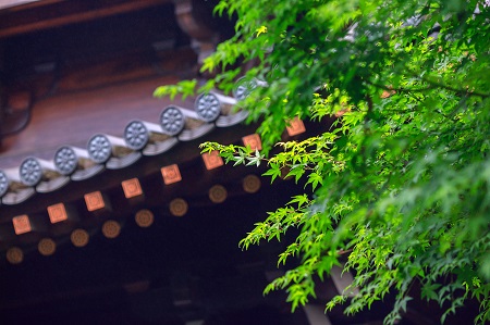 江西財經(jīng)大學(xué)MBA多久能拿到證書? 江西財經(jīng)大學(xué)MBA多久能拿到證書?