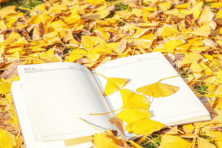 地質資源與地質工程在職研究生報考人群 地質資源與地質工程在職研究生報考人群