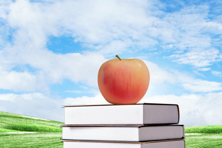 政治經濟學在職研究生開課學校 政治經濟學在職研究生開課學校