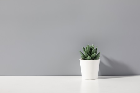  2022年中國社會科學(xué)院研究生院在職研究生什么時候報名？