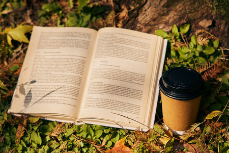 音樂(lè)學(xué)在職研究生就業(yè)前景 音樂(lè)學(xué)在職研究生就業(yè)前景