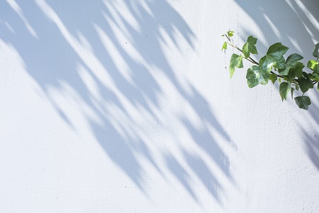 西南財經大學MBA上課方式有哪些? 西南財經大學MBA上課方式有哪些?