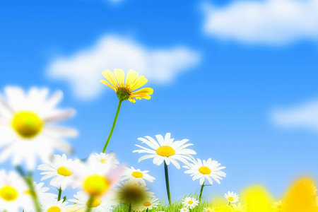 在職研究生含金量高嗎 在職研究生含金量高嗎