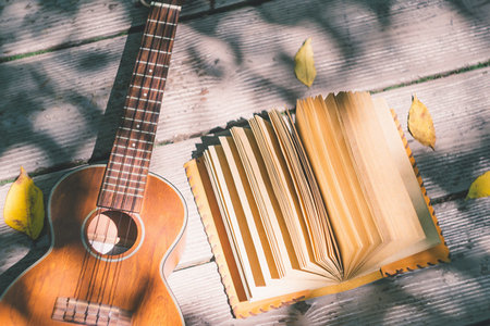 河南農業大學MPAcc報名及考試時間 河南農業大學MPAcc報名及考試時間