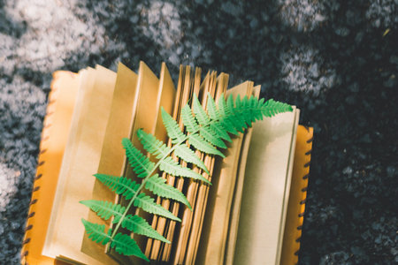 湖南師范大學MPAcc報名及考試時間 湖南師范大學MPAcc報名及考試時間