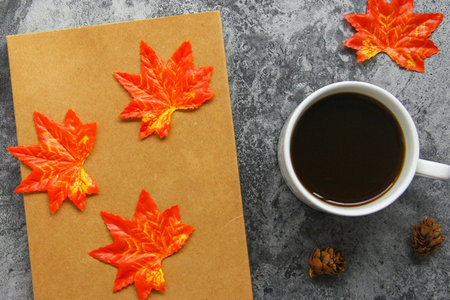 報考天津醫(yī)科大學(xué)非全日制研究生需要脫產(chǎn)嗎 報考天津醫(yī)科大學(xué)非全日制研究生需要脫產(chǎn)嗎