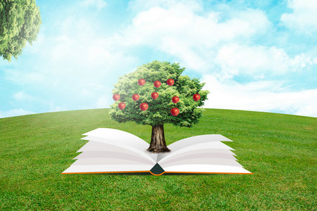 寧夏醫科大學非全日制研究生畢業獲得什么證書 寧夏醫科大學非全日制研究生畢業獲得什么證書