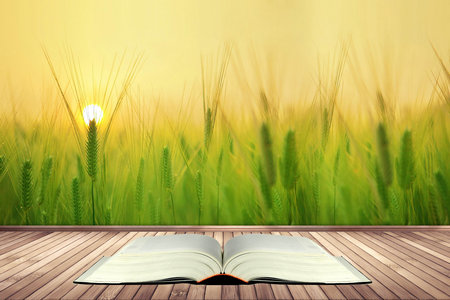 寧夏醫科大學同等學力申碩需要參加考試嗎