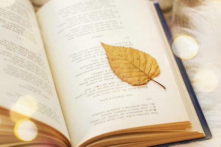 菲律賓永恒大學國際碩士報名及考試時間 菲律賓永恒大學國際碩士報名及考試時間