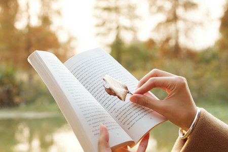 可以用在職研究生報考公務員 可以用在職研究生報考公務員