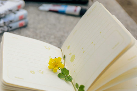 專業碩士在職研究生