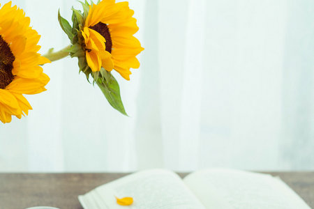 中央財經大學MPA報名及考試時間 中央財經大學MPA報名及考試時間