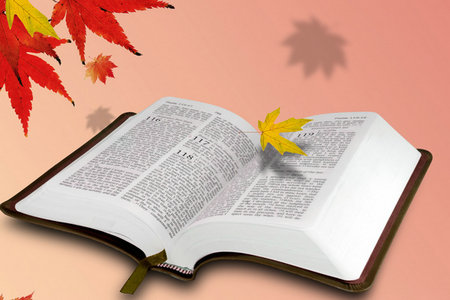 北京國家會計學院MPAcc證書 北京國家會計學院MPAcc證書