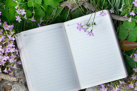 南京農業大學在職研究生上學時間 南京農業大學在職研究生上學時間