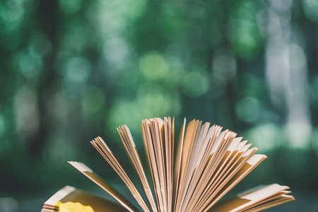 中國礦業(yè)大學(xué)非全日制研究生報名及考試時間 中國礦業(yè)大學(xué)非全日制研究生報名及考試時間