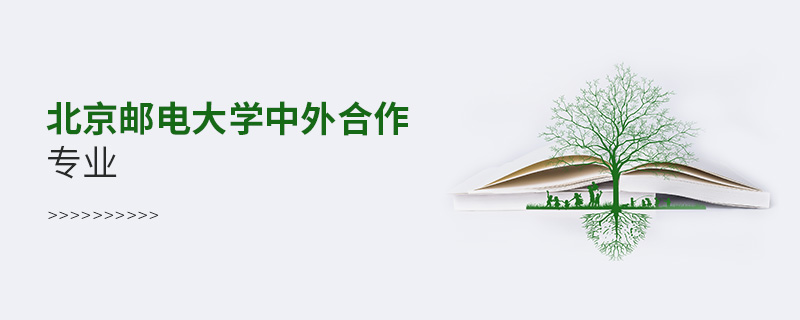 北京郵電大學(xué)中外合作專業(yè)
