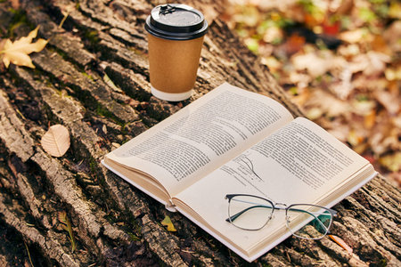 法國巴黎第十二大學報考類型 法國巴黎第十二大學報考類型