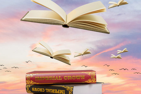 美國北亞利桑那大學(xué)學(xué)分制 美國北亞利桑那大學(xué)學(xué)分制