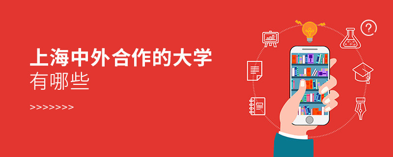 上海中外合作的大學(xué)有哪些