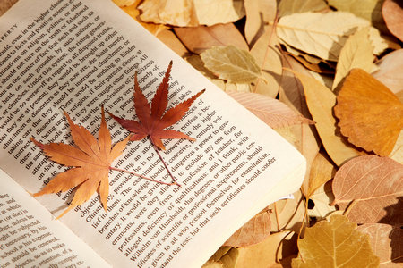 好就業的碩士專業排名 好就業的碩士專業排名