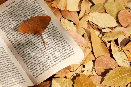 法語筆譯非全日制研究生考試 法語筆譯非全日制研究生考試