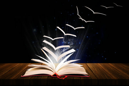 法國(guó)昂熱大學(xué)報(bào)考條件 法國(guó)昂熱大學(xué)報(bào)考條件