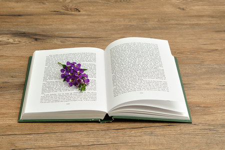 湖北同等學力申碩報考條件及流程 湖北同等學力申碩報考條件及流程