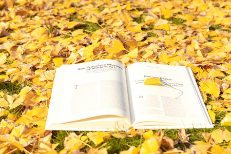 湖北在職研究生報名入口 湖北在職研究生報名入口