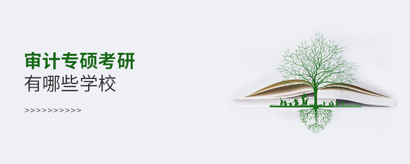 審計專碩考研有哪些學校 審計專碩考研有哪些學校