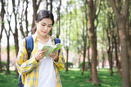 西班牙內布里哈大學國際博士學費 西班牙內布里哈大學國際博士學費