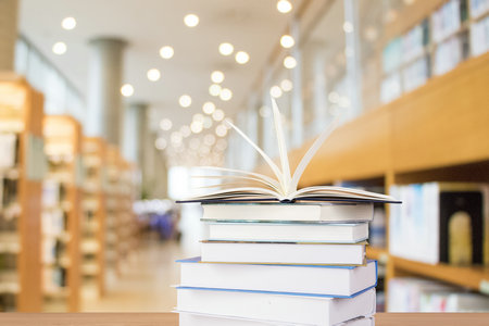 俄羅斯圣彼得堡國立工業(yè)技術與設計大學國際博士學費一覽表