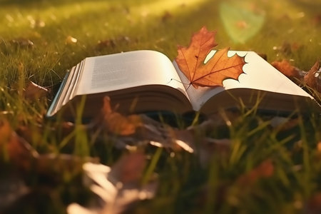 河南同等學力申碩報名及考試時間 河南同等學力申碩報名及考試時間