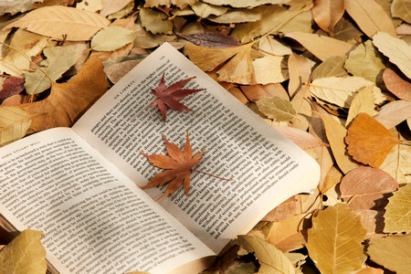 中南大學同等學力申碩學費 中南大學同等學力申碩學費