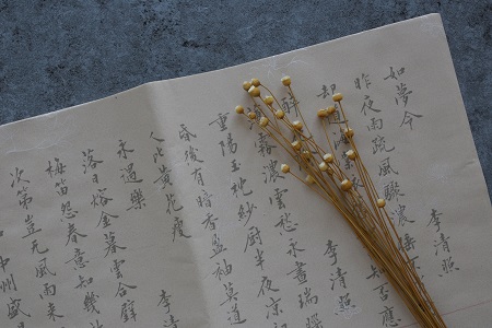 漢語言文字學在職研究生就業方向與前景！