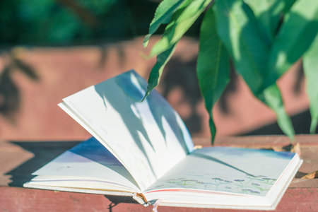 國際政治在職研究生就業方向與前景 國際政治在職研究生就業方向與前景