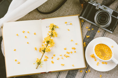 大連理工大學(xué)在職研究生考試科目 大連理工大學(xué)在職研究生考試科目