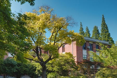 西北工業大學在職研究生考試考什么科目? 西北工業大學在職研究生考試考什么科目?