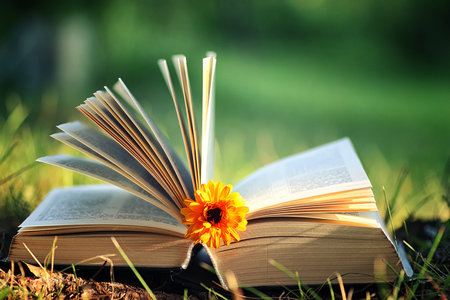 上海財經(jīng)大學同等學力申碩報考條件 上海財經(jīng)大學同等學力申碩報考條件