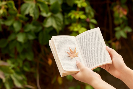 北京物資學院同等學力申碩報考條件 北京物資學院同等學力申碩報考條件