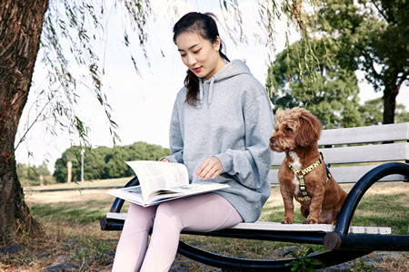 景德鎮陶瓷大學MPAcc報名入口2025年