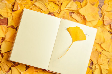 西南政法大學非全日制研究生報名入口 西南政法大學非全日制研究生報名入口