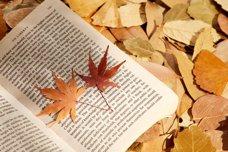 北京科技大學MPA報名入口2025年