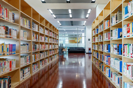 美國(guó)北阿拉巴馬大學(xué)國(guó)際博士報(bào)名入口2025年